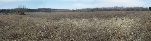 Pheasant Hunting in Iowa