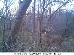 StealthCam on 10/29/10