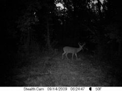 StealthCam on 09/14/09